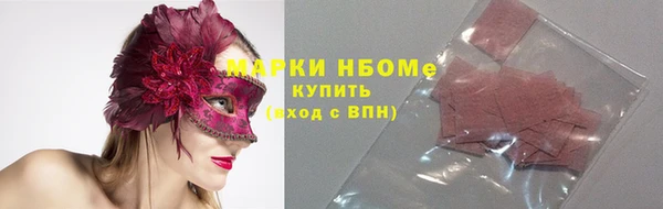 прущие грибы Фурманов